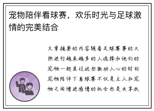 宠物陪伴看球赛，欢乐时光与足球激情的完美结合