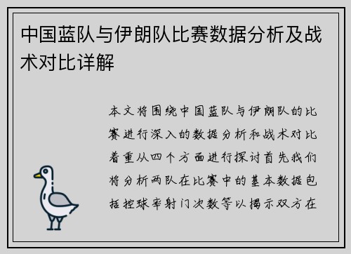 中国蓝队与伊朗队比赛数据分析及战术对比详解