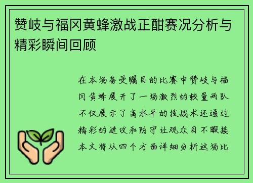 赞岐与福冈黄蜂激战正酣赛况分析与精彩瞬间回顾