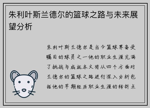 朱利叶斯兰德尔的篮球之路与未来展望分析