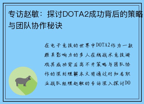 专访赵敏：探讨DOTA2成功背后的策略与团队协作秘诀