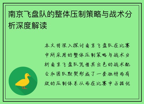 南京飞盘队的整体压制策略与战术分析深度解读